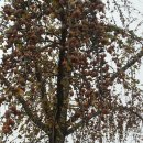 돼지은행 이미지