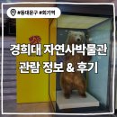 제26기 박물관대학 | 동대문구 아이랑 뭐하지? <경희대학교 자연사박물관>-관람시간, 휴관일, 월요일 운영, 주차 정보