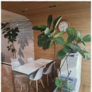 서초행정사사무소 이미지