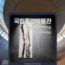 국립중앙박물관 서화실 매이스의 벽면 프린팅 후기