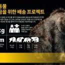 우수리 티스토리