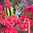 완산-18 이미지