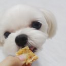 멍이와 냥이의 부엌 이미지