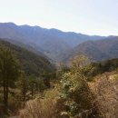 우리농장 이미지