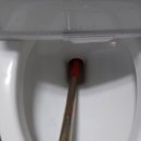 이안애