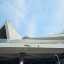 판다오라 이미지