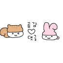 머슬원핏 배곧신도시점 이미지