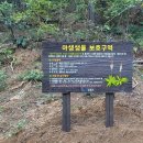 수원-1968 이미지