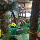 키튼아일랜드어린이집 이미지