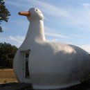 테마파크 펜션 이미지