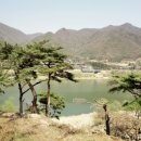 참나무장작바베큐 이미지