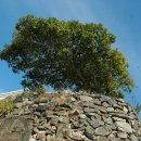 초도우체국 이미지