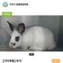 관악동물종합병원 이미지