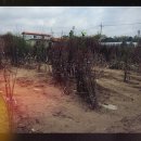 상근농장 이미지