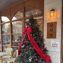 도솔로 | 대전 탄방동 카페 소금빵이 맛있는 남선당