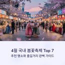 가시리 여의도점 | 4월 국내 봄꽃축제 Top 7 추천과 즐길거리 꿀팁 총정리