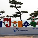 땅콩 게임장 이미지