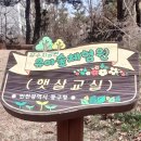 유수지공원 유아숲체험원 이미지