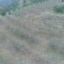 대구지방법원 영덕지원 이미지