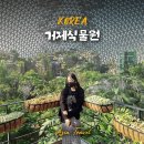 산새둥지펜션 | 거제도 여행 코스 거제식물원 정글돔 입장료, 내부 후기
