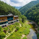 유명산하늘아래펜션 | 숲과 계곡이 어우러진 가평 유명산 힐링 펜션 BEST 4 완벽 정리