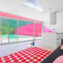 프라이빗핑크트리 이미지