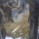 삼이네 펜션 이미지