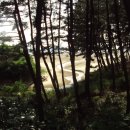 나리가펜션 이미지