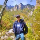 박순덕농장 Daum카페