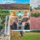 가을 | 제주도승합차투어 제주 여행 가을명소 후기