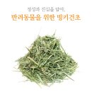 (주)빙키 이미지