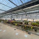 헬로우마켓 이미지