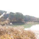 아곡낚시터 이미지