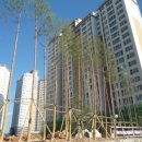 광산구-023 이미지