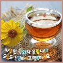푸른향기님 이미지