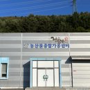 종합농산물