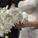 플랜에이(PLAN A)독서실 | 플랜마주 (Plan Maju) : 웨딩 플래너 정하기 꿀팁 10가지! (3탄)