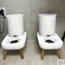 (주)지아이바이옴 | 고양이 자동 급식기 두잇 더테이블 플러스 사용 후기