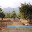지리산 유아숲체험원 이미지