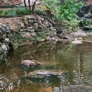 유다목장 이미지