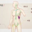 웃음코리아 이미지