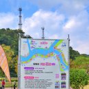 홍길동테마파크 관광지 | 2025 전남 장성 황룡강 가을꽃 축제