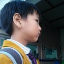 안중파랑새유치원 이미지