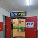 쌈바스크린