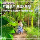 펫이동서비스 | 치앙마이 애견동반 숙소 추천｜프라우드 푸파무앙 호텔 펫 프렌들리 후기