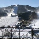 용평리조트 스키장 이미지