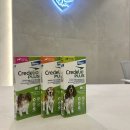 플러스동물의료센터 이미지