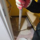 악쓰는하마 이미지