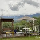 로젤 147 이미지