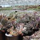 짱가농장 이미지